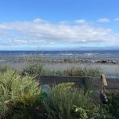 Kim Jaedicke's photo