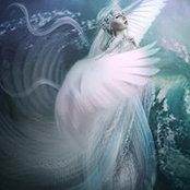 Cindy Lapus's photo