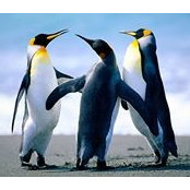 Craig Bryant's photo