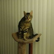 Becky Hedges's photo
