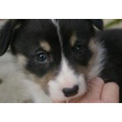 Carrie Trabbic's photo
