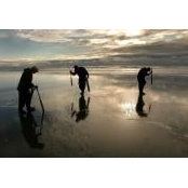 Lisa McElliott's photo