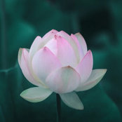 Bridget's photo