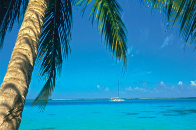 220 Latitudes