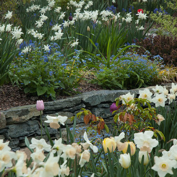 Hillside Garden--A hidden gem