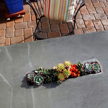 Landscape Ideas