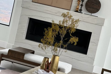 Example of a minimalist living room design in Salt Lake City
