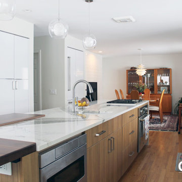 White Contemporary Kitchen with Waterfall Countertop