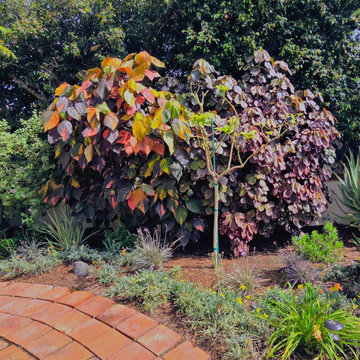 Warm Reds and Pinks — Opposite Garden Bed