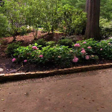 Oxford Hills Shade Garden