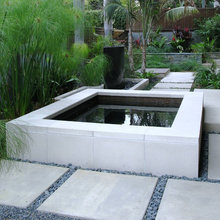 pond