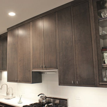 Chicago Contemporary Rehab