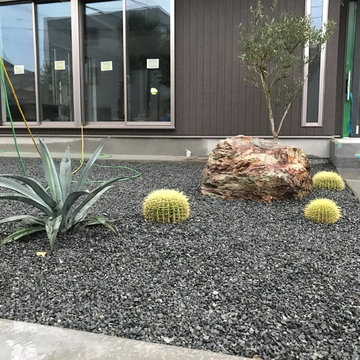 ドライガーデン｜パームスプリングスガーデン