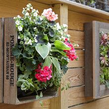 Patio Ideas