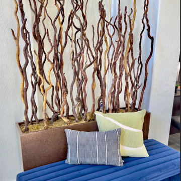 Las Vegas Apartment Lobby