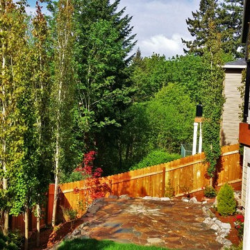 Extreme Landscape Makeover.  Permeable Patio & Specimen Trees installed in snow.