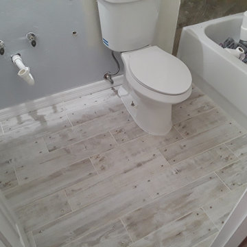 Previous Work
