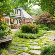 Yard General