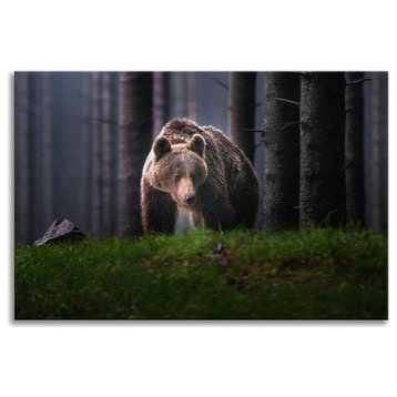 Brown Bear Walking Through Forest Animal Wildlife Photo Canvas Wall Art Prints, 16" X 20"
