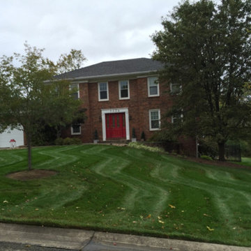 Lawn Care & Landscaping