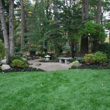 Backyard Renovation