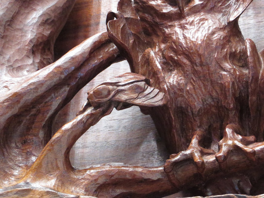 DETAIL: Sleeping Owlets