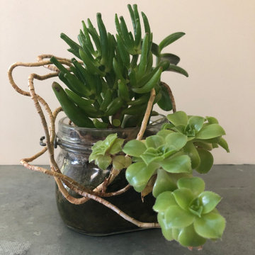 Mini terrarium