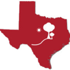 Texas Pride Landscape