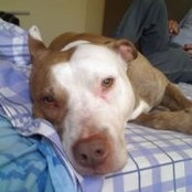 Enrique Samanez's photo