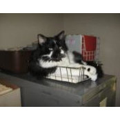 Linda Mueller Chamberlain's photo