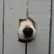 Katie Moffatt's photo