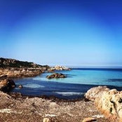 B-t Allach's photo