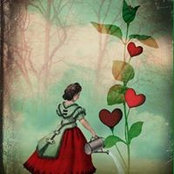 Photo de Kat Williamson
