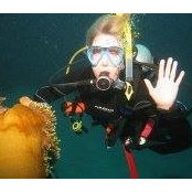 Dot Van Steyn Harths foto
