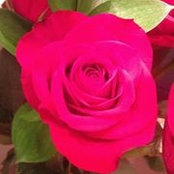 Rose Rector's photo