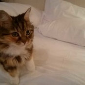 Flo G's photo