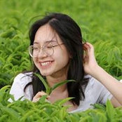 Foto von Ann Phan