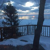 Ann Carlson's photo