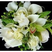 Fleurs De France's photo
