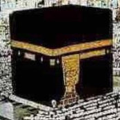 Farah Khaled's photo