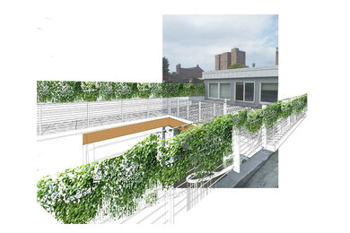 Perspective of the proposed roof deck