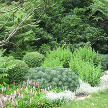 Jardin
