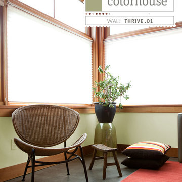 Colorhouse THRIVE .01