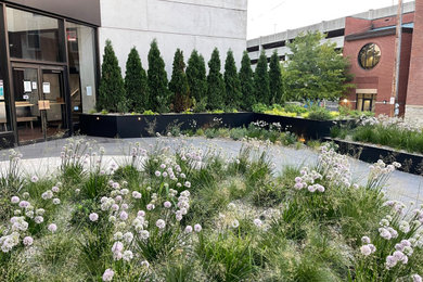 Photo of a landscaping in Other.