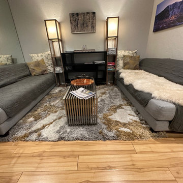 Modern Living Room Remodel with Walnut Wood Slat Wall Panels