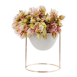 Nest Petite Stand and Vessel | Ivy Muse - Planter Hardware And Accessories