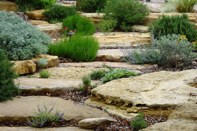 This is an example of a backyard stone landscaping in Austin.