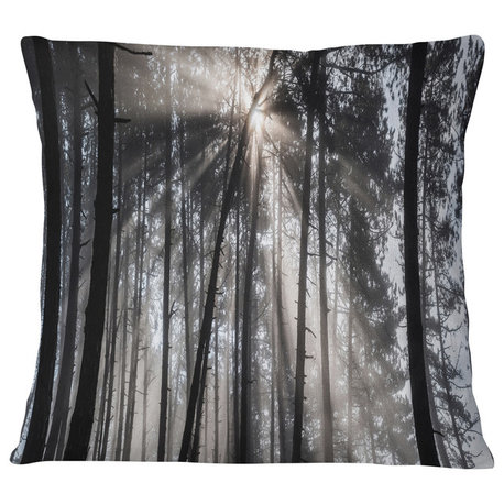 Sunbeams through Black White Forest Forest Throw Pillow, 18"x18"