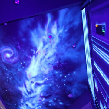 Media Room Mural "Space Ship"