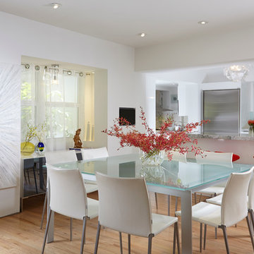 J Design Group - Coconut Grove - modern interior designer miami - South Miami